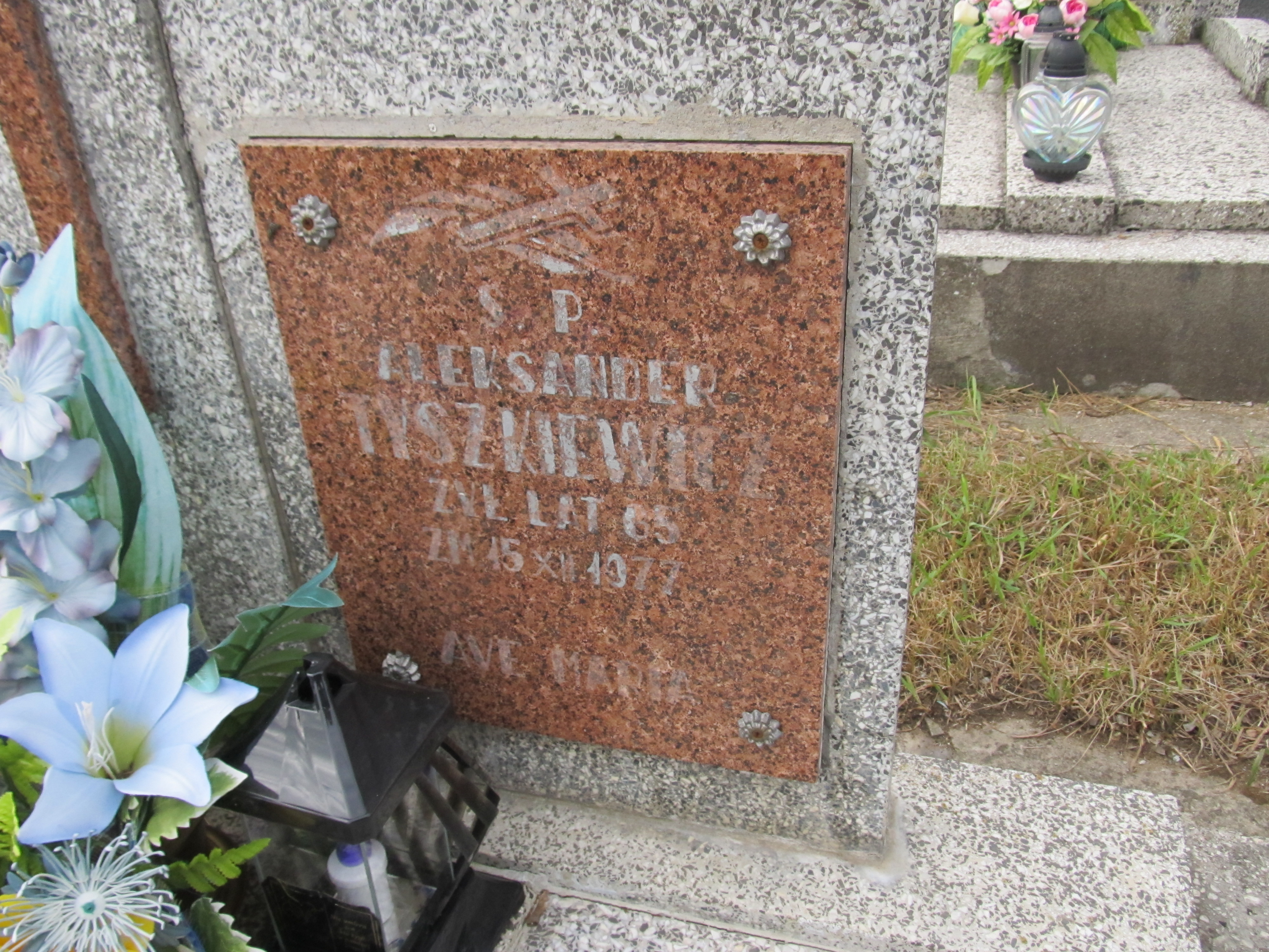 Aleksander Tyszkiewicz Grajewo - Grobonet - Wyszukiwarka osób pochowanych