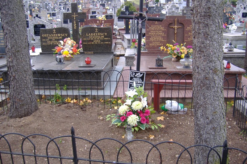 Władysław Wasilewski Grajewo - Grobonet - Wyszukiwarka osób pochowanych