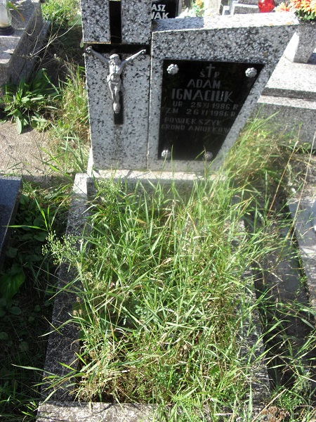 Adam Ignaciuk 1986 Grajewo - Grobonet - Wyszukiwarka osób pochowanych